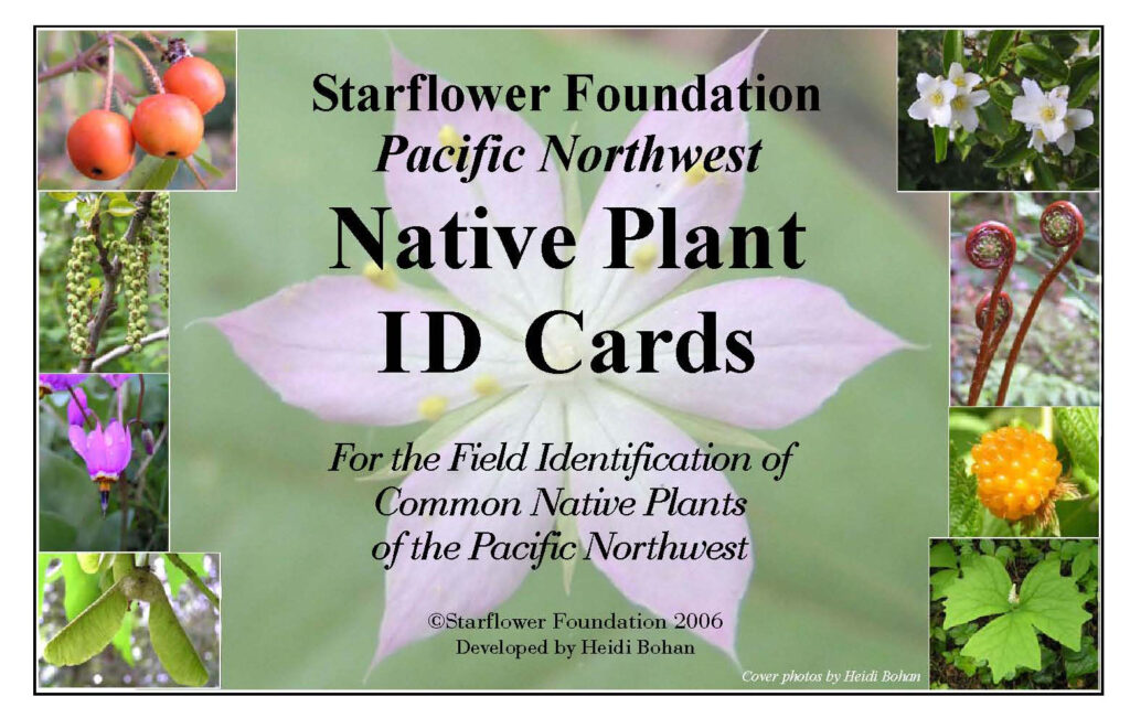 Learn Native Plants Flash Cards